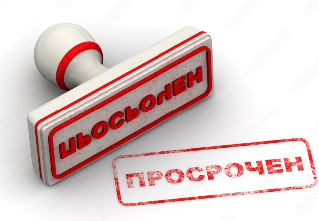 Путин приехал посмотреть, как обрабатывают шишки в Архангельской области