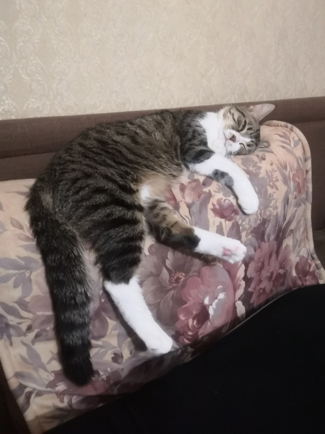 Вторник, да?