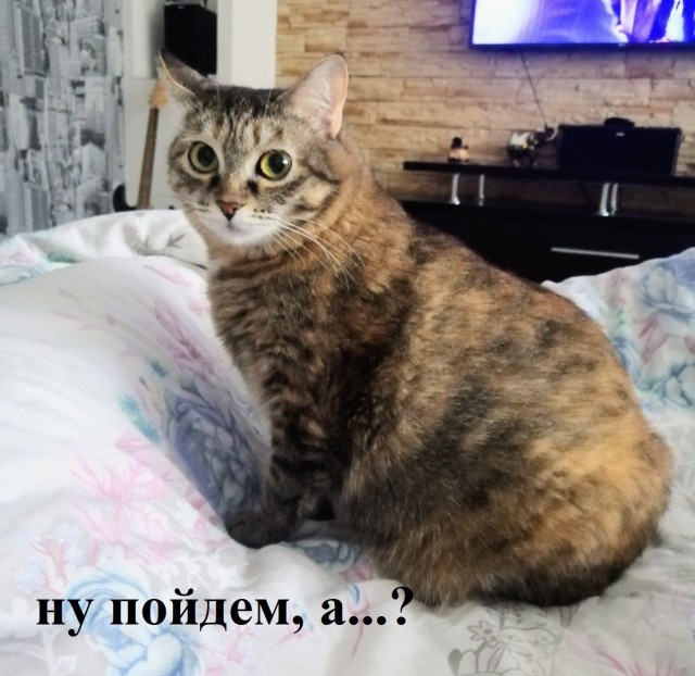 Дождалась
