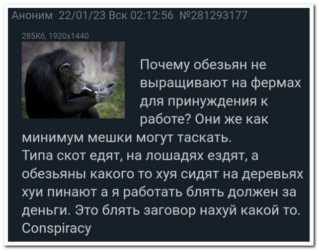 Забавные комментарии из социальных сетей (20.03.23)