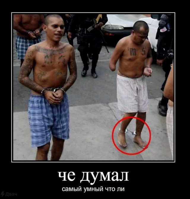 Чёрно-пошлая деградация