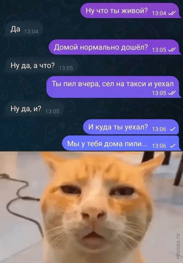 Отряд быстрого деградирования