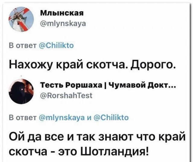 Забавные комментарии из социальных сетей 06.11.23