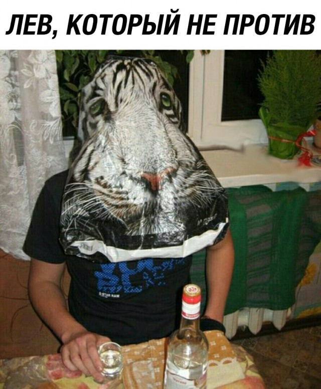 Дристоль два ноль