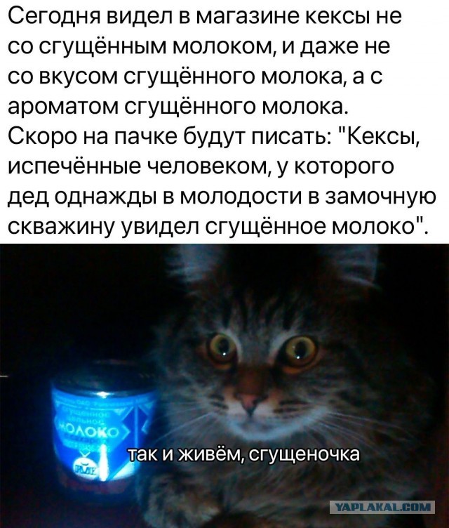 Народная меДИЧина 8025