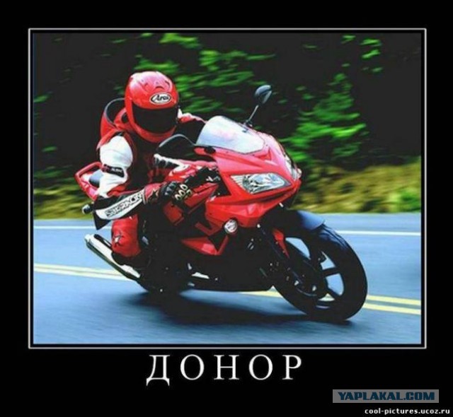 Мотоциклист ехал себе спокойно и вдруг неожиданно