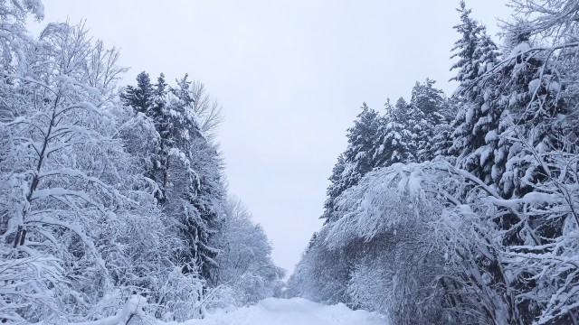 Зима в моей деревне