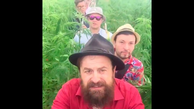 Помогите опознать ЯПовца!