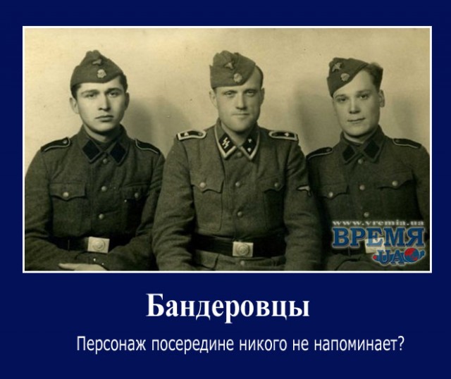 Кто воевал на стороне Гитлера