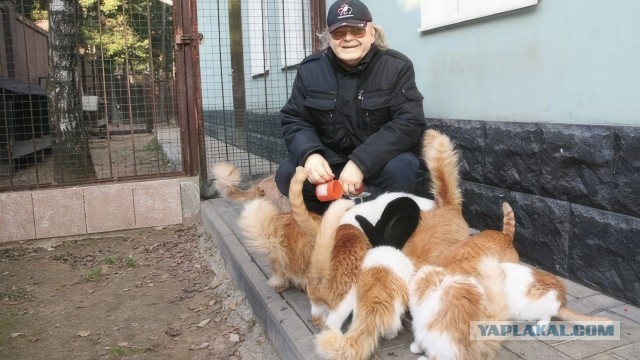 Юрий Антонов