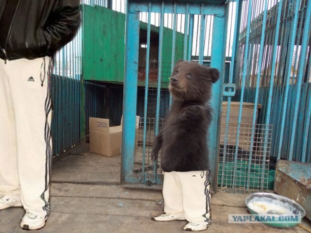 По прозвищу Тихон