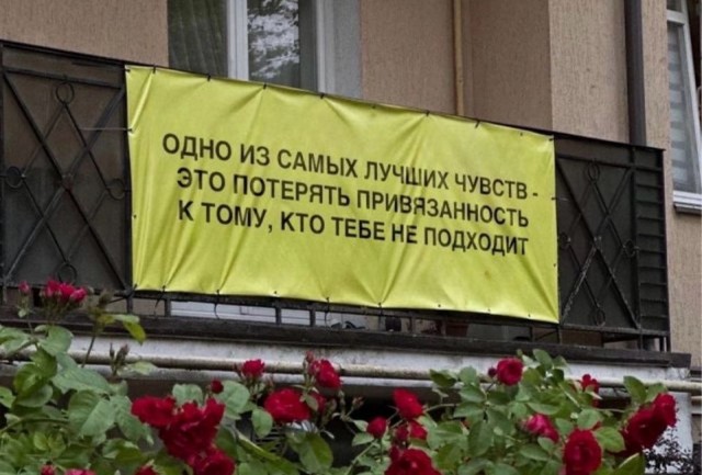 Перлы 04.06.24