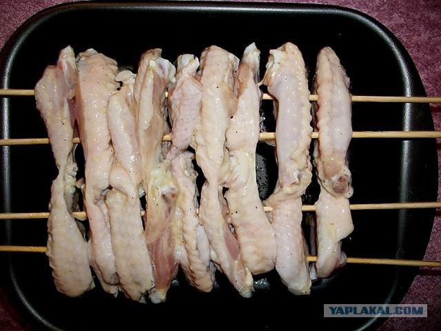 Крылинные курья