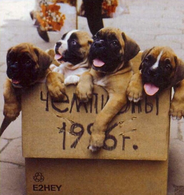 Интересные фотографии 1990 -х 16.02.25