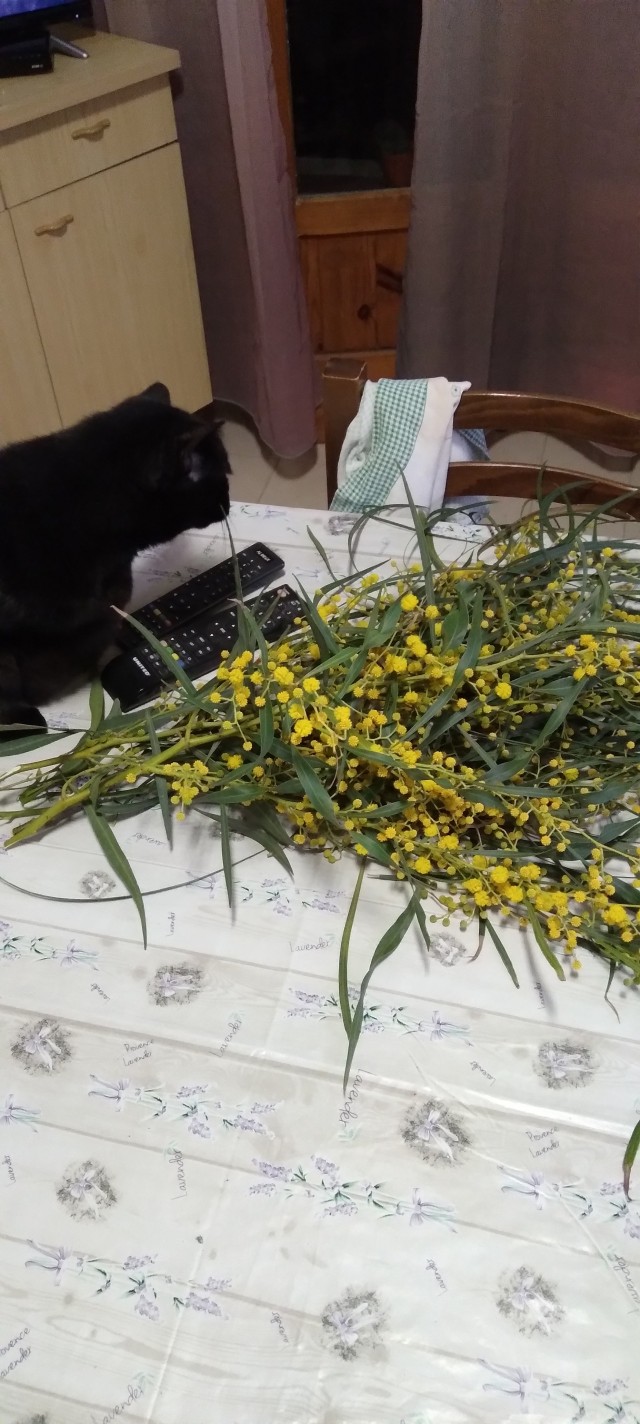 Рыжей стерве 18 лет