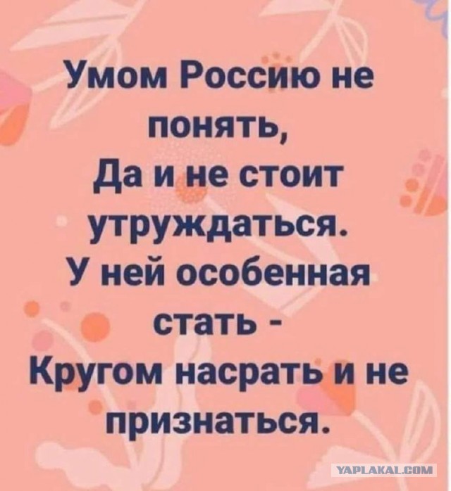 Угольные шахты ЛНР не смогли выйти на рентабельность