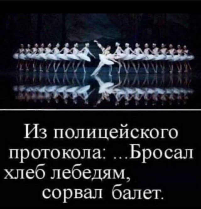 Веселые картинки в пятницу (30.05)