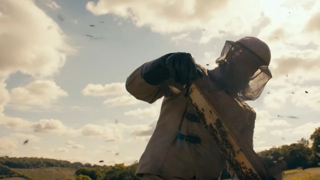 В Испании рассерженный пчеловод натравил рой пчёл на полицейских