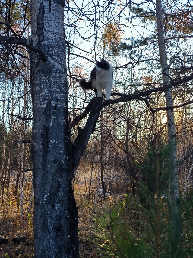 Городская