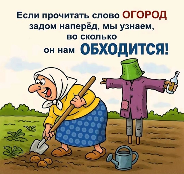 Так себе картинки 24.08.25