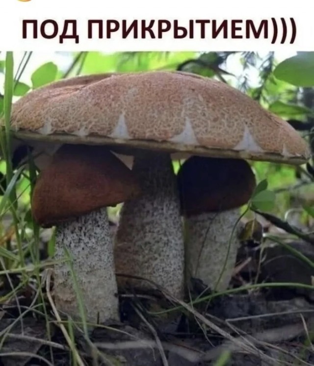 Октябрь, день десятый …