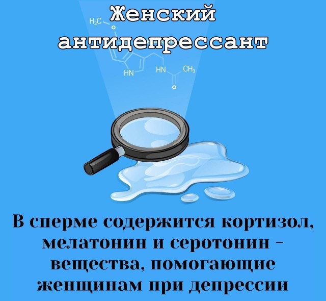 Забавные и не очень скромные картинки - 18