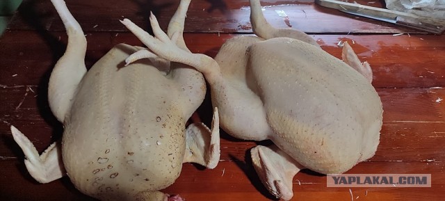 Как правильно уг@ндошить курицу на запчасти
