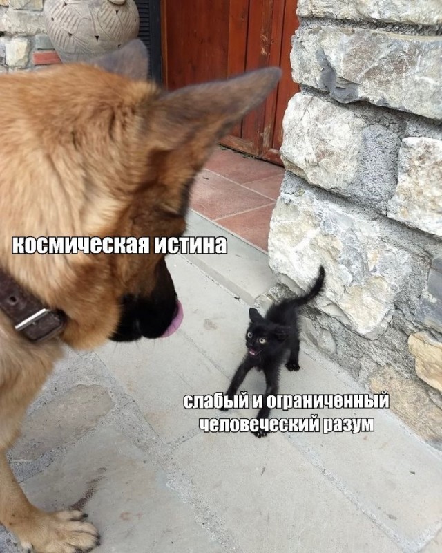 Нуштош. Лужа истекшего периода (s5e3)