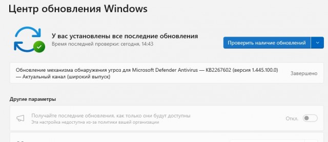 Замедление Телеграма зацепило и Windows