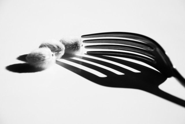 Опасное хобби моего мужа