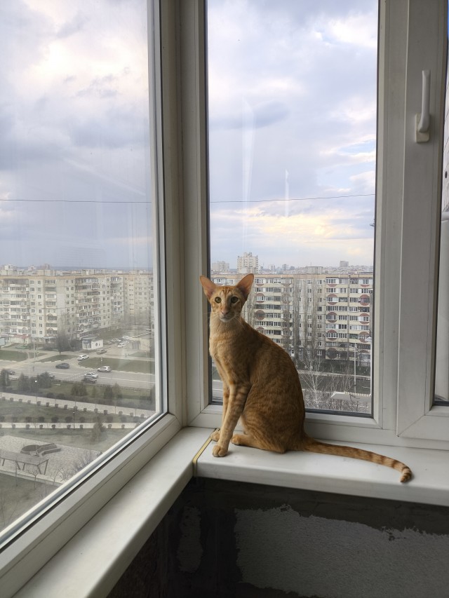 А давайте накидаем вид из своего окна