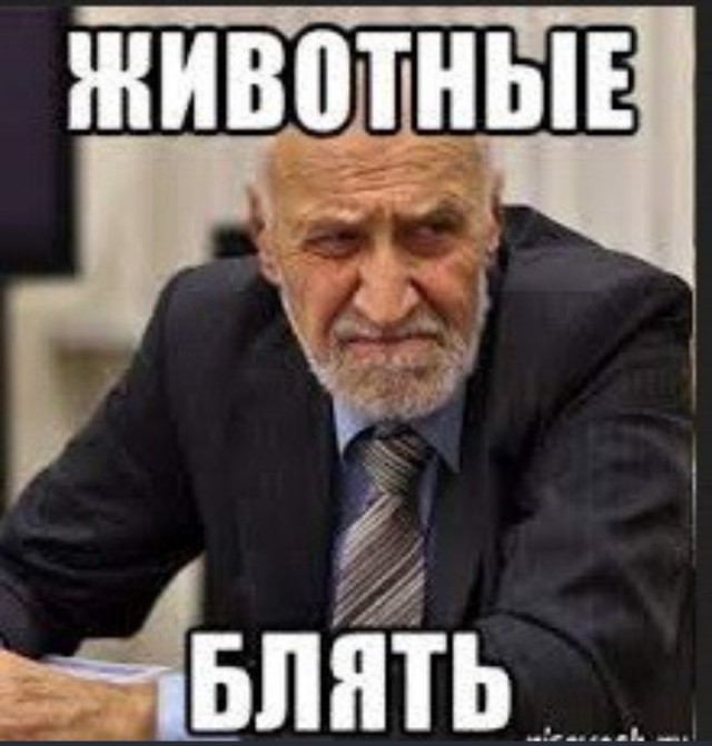 С началом мотосезона
