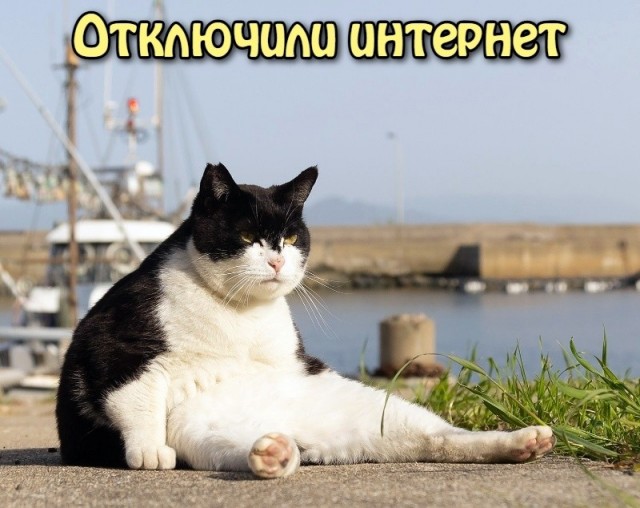 Так себе картинки 12.05.26