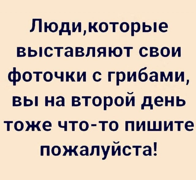Картинки для деградации 240 (разной степени свежести)
