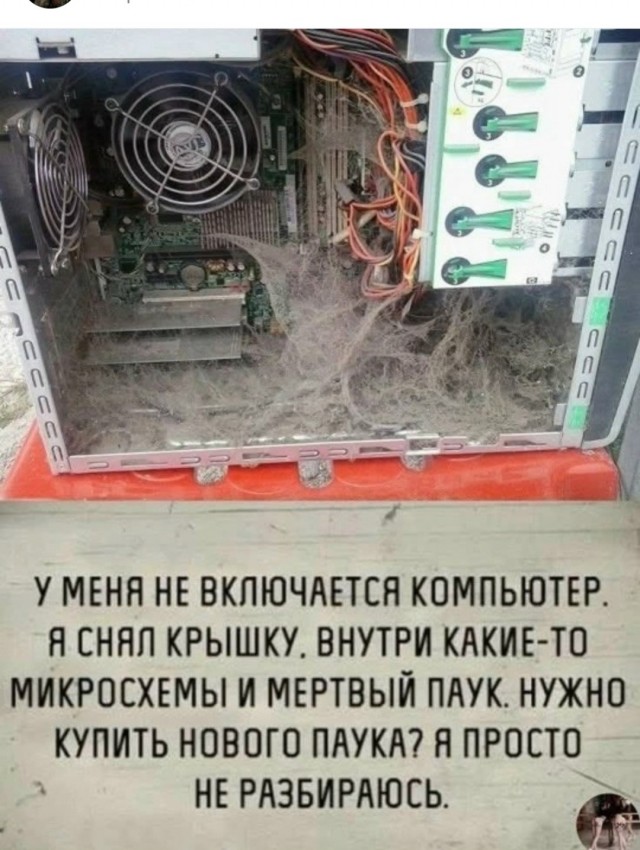 Веселое настроение в картинках 14.08.26