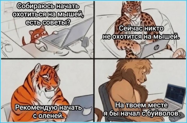 Картинки для деградации 276 (разной степени свежести)