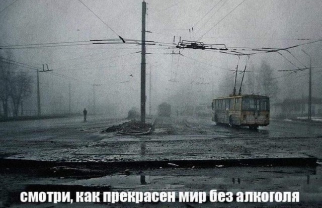 Картинки для деградации 289 (разной степени свежести)