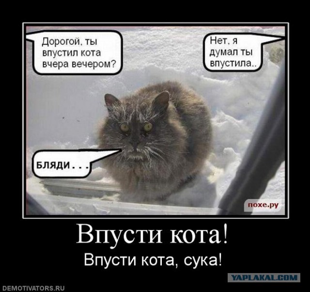Попался!