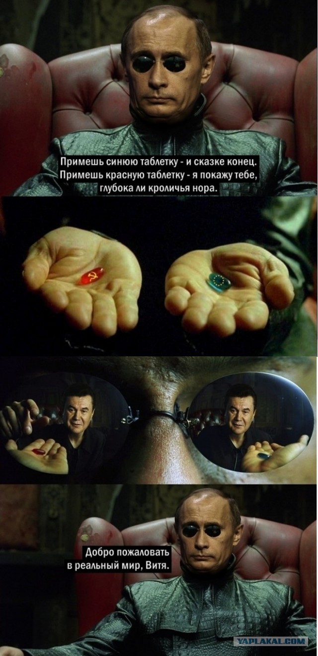 Действительность или матрица?