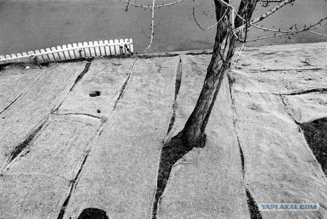 «Лучший фотограф»