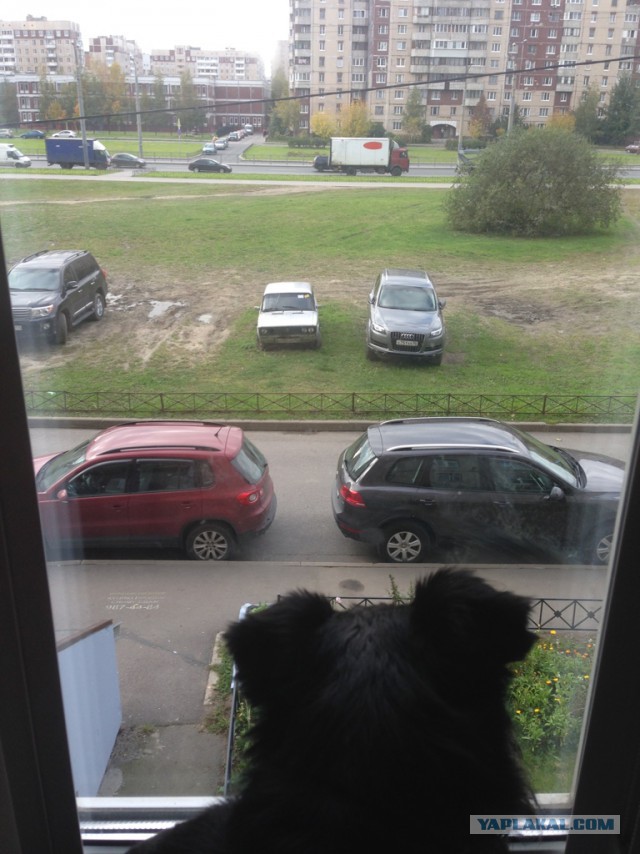 А что у Вас сейчас?