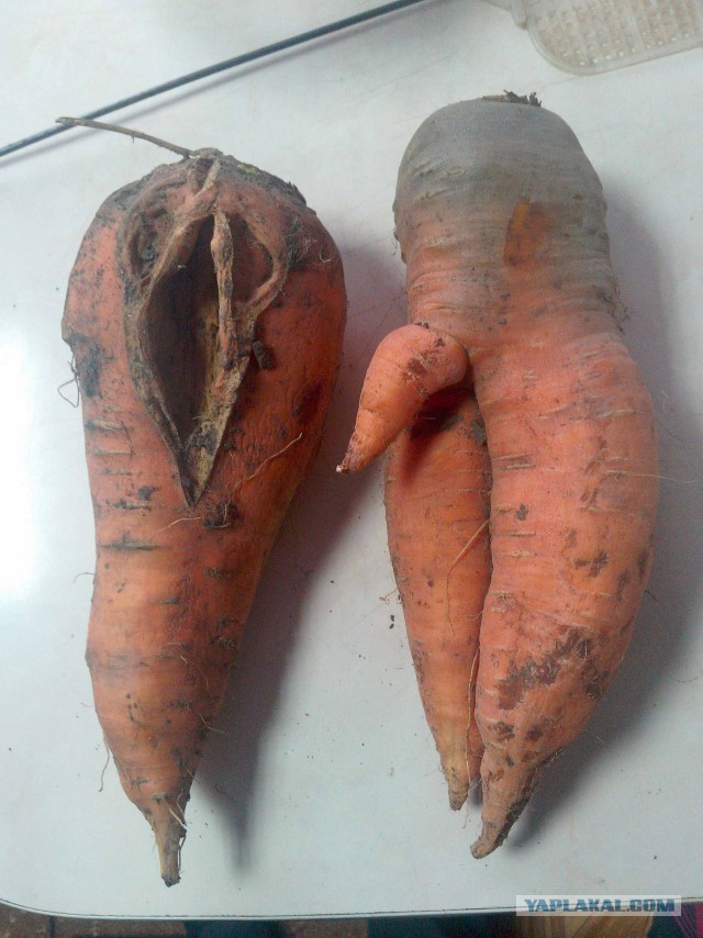 Раскоряка 18+