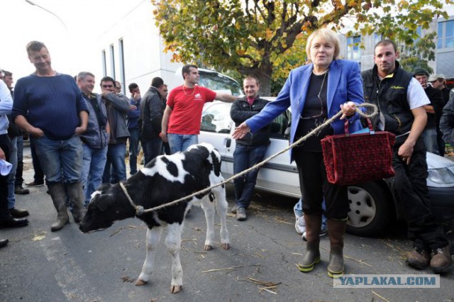 День протеста французских фермеров.