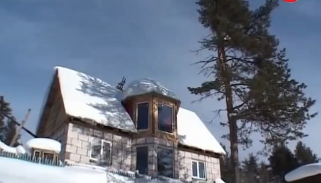 Любовь и голуби..