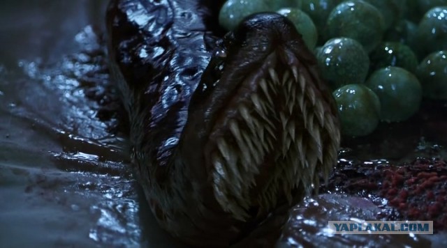 Есть следопыты на ЯПе?