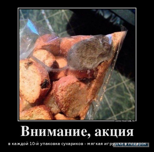 Подборка картинок из соцсетей