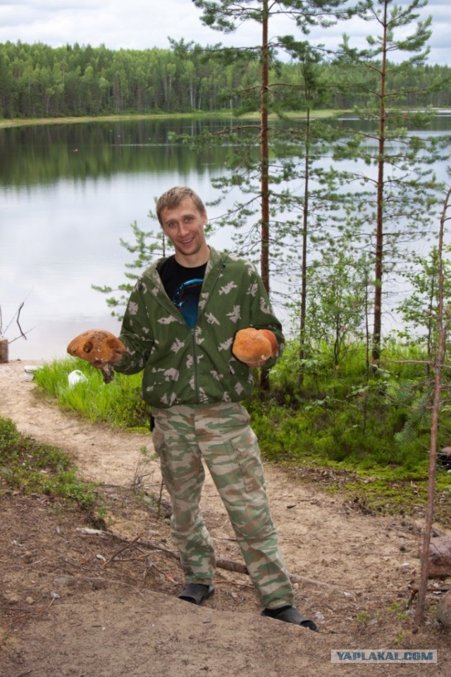 Две недели впечатлений.