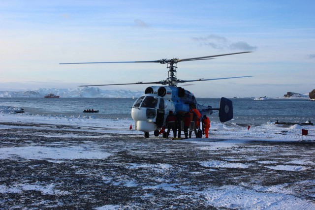 Полтора года зимы