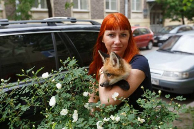 В Санкт-Петербурге девушка выкупила лисенка со зверофермы, чтобы спасти ему жизнь
