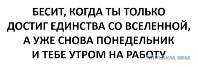 Прикольные картинки, интересные цитаты и мысли